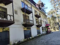 Maharaja Resorts Hotels in Patnitop