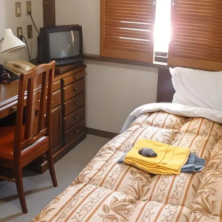 Business Hotel Omika Отели в г. Хитати