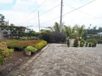 Samudra Homestay Hotels in Rogojampi