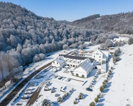 Hotel Pałac Jugowice Hotels in Walim