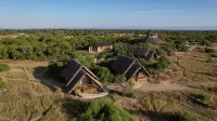 Saadani Beach Camp - Homestays