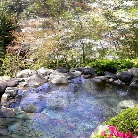 Kinugawa Onsen Hana No Yado Matsuya