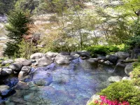Kinugawa Onsen Hana No Yado Matsuya - Горячие источники