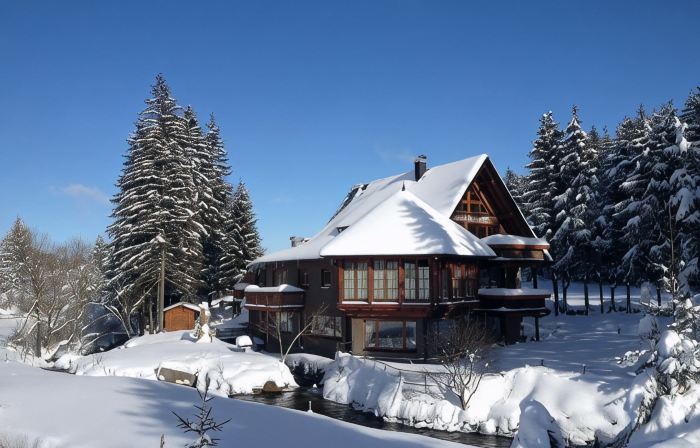 Schwarzwald Lodge Inselklause