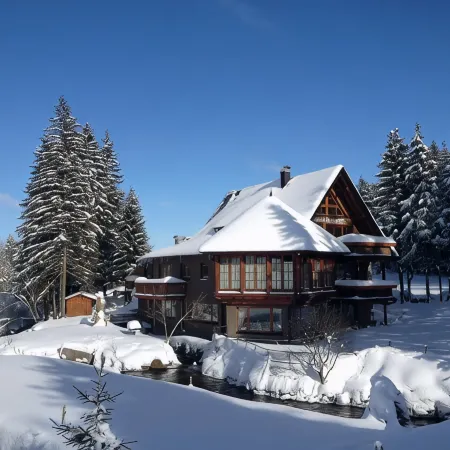 Schwarzwald Lodge Inselklause