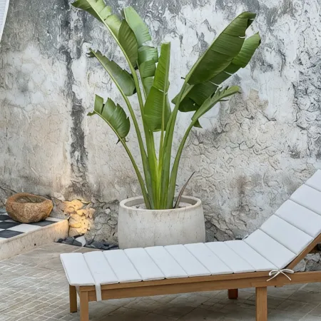 Casa Koko - Luxury Oasis in Centro Merida