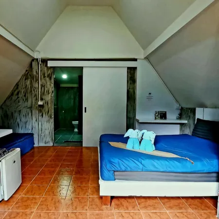 Cashewnut Tree Resort