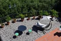 B&B Spring