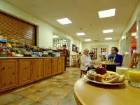Best Western Dinosaur Valley Inn  Suites Hotels in Somervell County