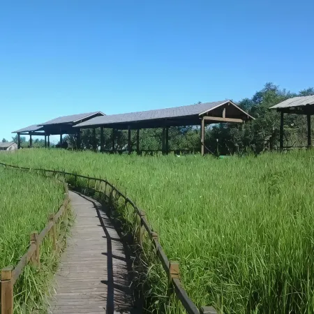 Yesanpo Baicaopan Pastoral Ode Farm Stay