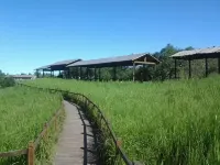 Yesanpo Baicaopan Pastoral Ode Farm Stay - pemandangan pegunungan