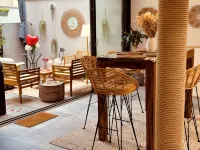 Ravissant Loft Neuf Cosy et Indépendant au Cœur de Nancy