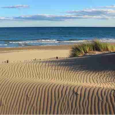 Elegant Apt between sea, ponds and nature, 5 minutes from beaches, direct access to streetcar. Fitness & Recreational Facilities