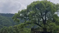 雲村登魯鄉村民宿 - 2 星級