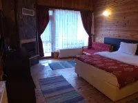 Abant Kartal Yuvasi Hotel Hotels in Dereceoren