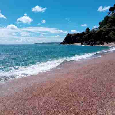 COMFORTABLE COUNTRY CHALET, NEAR DARTMOUTH, DEVON Fitness & Recreational Facilities