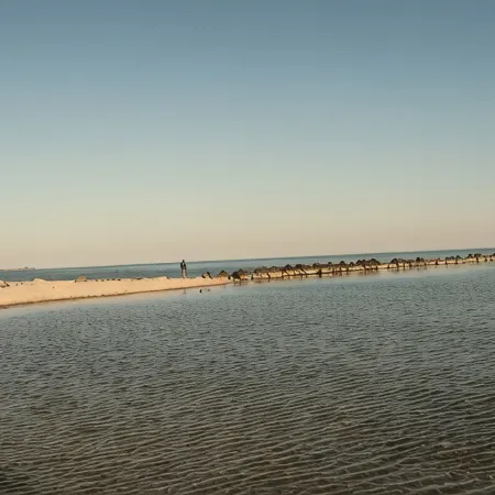 Newly renovated apartment, lake view, directly on the south beach, WLAN & beach chair included