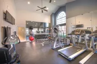 Brand New 1BR in the heart of Houston Med Center - Condos