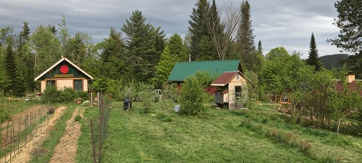 Restored Historic Adirondack Bird Camp Near Gore MT with Lovely Mountain Views Hoteles en Johnsburg