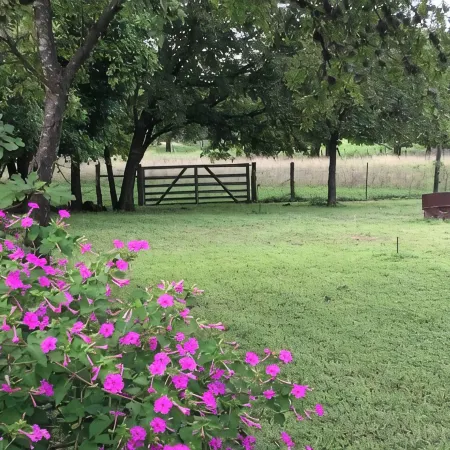 Charming Tiny Home & Hot Tub, Medina