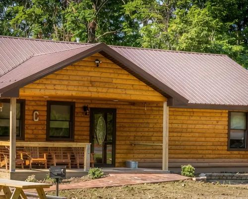 Cayuga Lake Cabins, Gorgeous Log Cabin home, Cabin C, fire pit, dog friendly Hotels in Seneca County