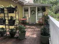 Historic Downtown Sanford Sunshine Cottage with Tree Top Suite! - 2-Star