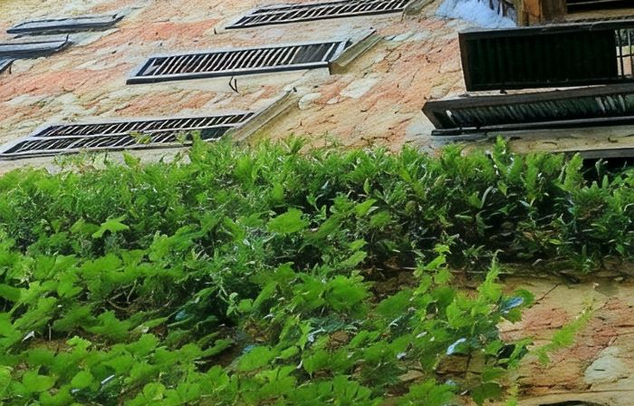 Residenza d'Epoca Il Cassero