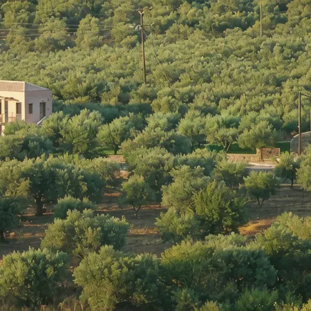 Liotrivi Historical Mansion and Boutique Hotel