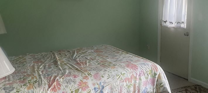 Cool house with AC in charming Dundee with gorgeous views of the lake Hotels in Yates County
