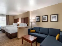 Comfort Inn & Suites - Gym