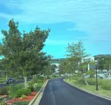 Comfy Newly Remodeled Walk-in, No Stairs BlueBird Retreat - Bungalows