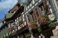 New: Chalet Les Prés in Alsace center, charming atmosphere, modern comfort - 小木屋