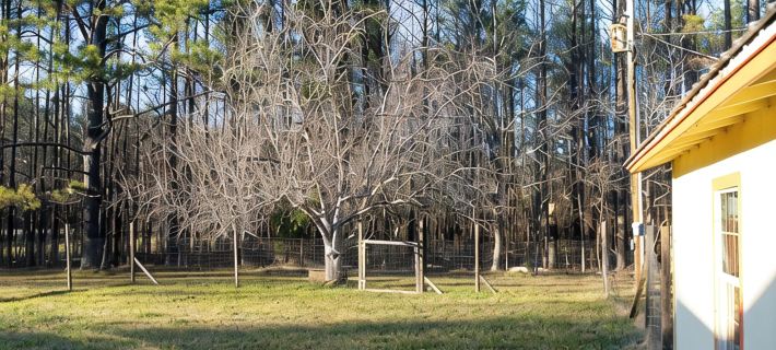 Cottage Nestled in Nature Hotels in Oktibbeha County