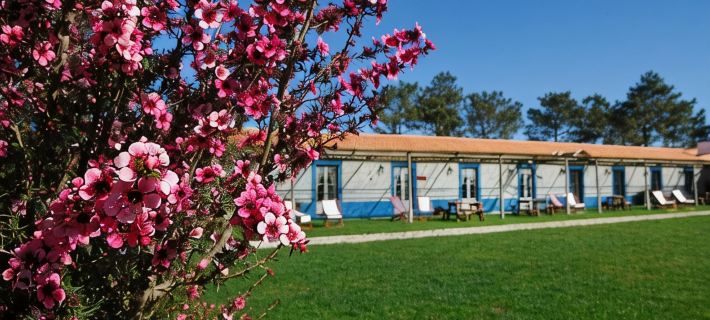 Casa Da Seiceira Hotels in Odemira