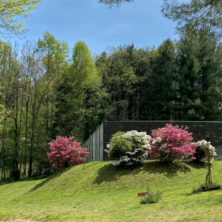 Lakefront Condo  Historic Flat Rock at Mill House Lodge Sleeps 2 Newly Renovated