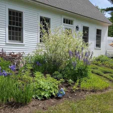 Cottage in Barnard