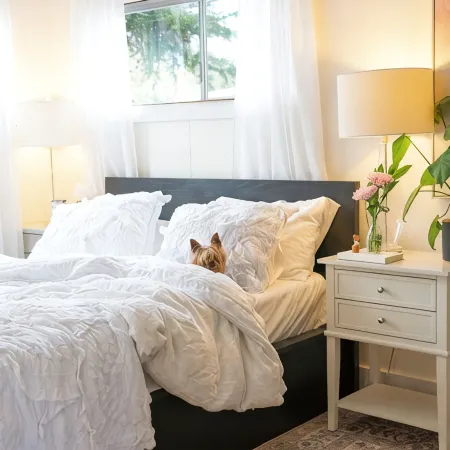 Sundog Cottage - Clean & Cozy - EV - Walk to Food & Beach - Fenced Yard for Dog