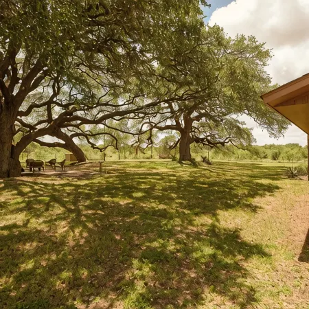 Three Oaks Property