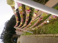 Koibito Misaki Ocean View Resort Misaki - Pensions