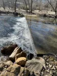 Relax on the Caddo - Chalets