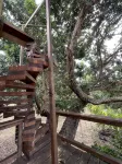 Love Kona Farm Life in nature - Lychee Hale - 3-Star
