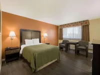 Quality Inn & Suites Medford Airport - Pool