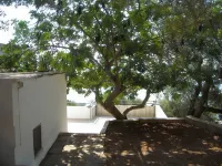 Agriturismo la Natura Hôtels à : Tricase