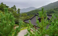 Chungju Solnaeeum Hanok Pension