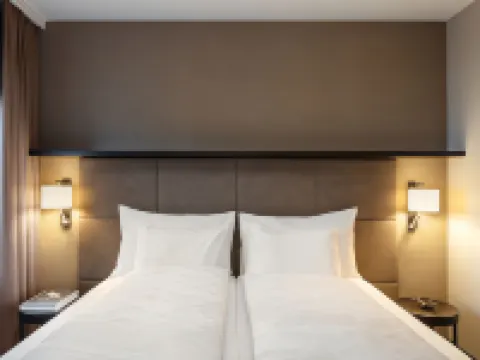 Hotel Victoria Hotel a Basilea