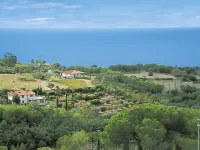 Piccola Oasi 7