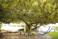 Alfa Hotel Teresina Hotels near Teresina House of Culture Museum