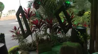 Torettos Hotels in La Esmeralda