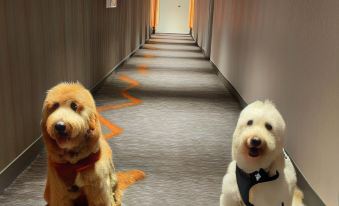 DoubleTree by Hilton San Francisco South Airport Blvd