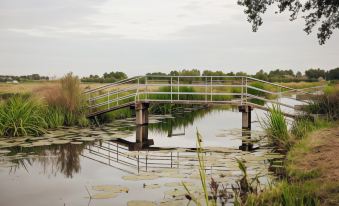 Haje Nieuwegein